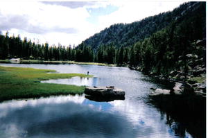 Joe's lake has Golden trout