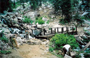 Elbow Creek Bridge